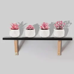 CASTNOO Set Of 4 Succulents Plants Artificial, Mini Fake Succulents For Women Office, Faux Succulents Decor, Artificial Succulents In Ceramic Pots For Desk, Home, Shelf Decorations -Nearly Natural Store 310J7r1B2kL