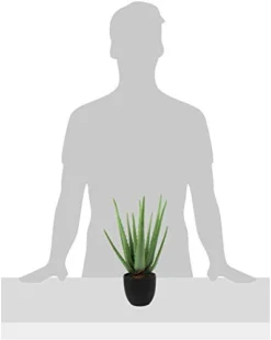 Beebel Artificial Succulent Fake Aloe For Bathroom Home Office Decor,Faux Succulent Plant With Black Plastic Planter,Artificial Potted Plant For House Decor (Aloe Succulent/13 Leaf) -Nearly Natural Store 31GWFFrnxSL