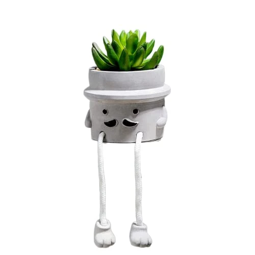 AEMYMTW Fake Potted Plants – Cute Artificial Succulents With Funny Ceramic Pot – Animated Hanging Plants Artificial Décor For Home And Office – Safe And Secure Packaging - 6.9 X 5.29 X 5.25 Inch 1 AEMYMTW Fake Potted Plants – Cute Artificial Succulents With Funny Ceramic Pot – Animated Hanging Plants Artificial Décor For Home And Office – Safe And Secure Packaging - 6.9 X 5.29 X 5.25 Inch