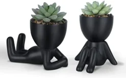 Galiejar Fake Succulents,Mini Succulents Plants Artificial With Ceramic Pots,Cute Home Decor Bathroom Decor Desk Decor Bedroom Decor Office Decor For Women (2Pack, Black) -Nearly Natural Store 31OlpZnSKUL. AC