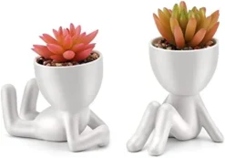 WOODWORD Fake Succulent, Mini Succulents Plants Artificial In Black Modern Human Shaped Ceramic Pots Cute Desk Decor For Office Decor For Women, Bathroom 2PCS -Nearly Natural Store 31Pb2BvRAWL. AC
