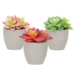 Mingfuxin Artificial Plants, 3 Pack Realistic Faux Succulents In Pots With Flowers For Indoor Office Desk Decor Home Bedroom