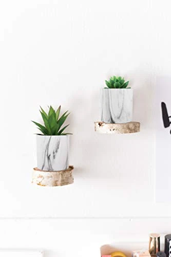 C APPOK Artificial Succulents Plants Faux Succulent Flocking Potted Plants - 4 Pack Fake Succulents Decorative Green Potted Plant In Pots For Home, Desk Decor, Office Decoration 2 C APPOK Artificial Succulents Plants Faux Succulent Flocking Potted Plants - 4 Pack Fake Succulents Decorative Green Potted Plant In Pots For Home, Desk Decor, Office Decoration - Image 2