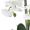 Nearly Natural 4570 Triple Phalaenopsis Orchid In Glass Vase,Green/White