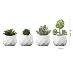 MyGift Set Of 4 Mini Assorted Artificial Succulent Fake Plants In Modern White Textured Ceramic Plant Pots -Nearly Natural Store 31i5EeVpB8S