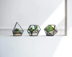Mkono Artificial Succulent In 3 Pack Mini Glass Geometric Terrarium, Miniature Potted Faux Plant Bookshelf Desk Boho Office Room Decor For Women Girls Dorm Gift Idea, Black -Nearly Natural Store 31i8cRF7wkL