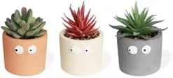 Zerzsy 3 PCS Cute Artificial Succulent Plants With Creative Human Shaped Pots, Mini Potted Succulents Decor For Home Decor (Matte Black) -Nearly Natural Store 31mbcdtxuFL. AC