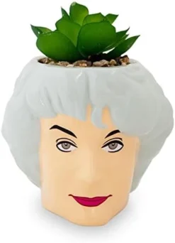 Silver Buffalo The Golden Girls Sophia Face Mini Ceramic Planter Decor | Official TV Show Collectible | Small Flower Pot For Indoor Plants, Includes Artificial Succulent | 3 Inches -Nearly Natural Store 31rpIMK5yqL. AC