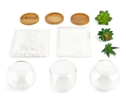 Mkono Artificial Succulent In Clear Glass Pot, Set Of 3 Mini Potted Fake Plants For Women Office Decor Small Faux Green Plant With BambooTray For Bookshelf Bathroom Kitchen Decor Tabletop Centerpiece 7 Mkono Artificial Succulent In Clear Glass Pot, Set Of 3 Mini Potted Fake Plants For Women Office Decor Small Faux Green Plant With BambooTray For Bookshelf Bathroom Kitchen Decor Tabletop Centerpiece -Nearly Natural Store 31xBoR5xQbL