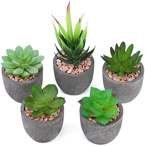 Iuuidu Artificial Potted Plant, Faux Succulent In Pot Emotional Cement Potted Plant Animated Artificial Succulents Decor For Home Living Room Bedroom And Office(Shy) 10 Iuuidu Artificial Potted Plant, Faux Succulent In Pot Emotional Cement Potted Plant Animated Artificial Succulents Decor For Home Living Room Bedroom And Office(Shy) - Image 10