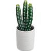SEEKO Fake Cactus For Home Décor 11" - Artificial Faux Cactus For Southwest, Office, Desk, Shelf - Indoor Fake Plants - White Décor Accents - Modern Farmhouse Decor 