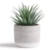Kurrajong Farmhouse 8" X 4.5" Artificial Plant In Pot | Beautiful Faux Plant For Bedroom Decor | Fake Plant For Shelf Decor | Realistic Faux Succulent For Desk Decor | Artificial Succulent Plant Decor