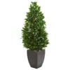 Nearly Natural 56-in. Bay Leaf Cone Topiary Artificial UV Resistant In Black Planter (Indoor/Outdoor) Silk Trees Green