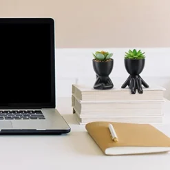 WOODWORD Fake Succulent, Mini Succulents Plants Artificial In Black Modern Human Shaped Ceramic Pots Cute Desk Decor For Office Decor For Women, Bathroom 2PCS -Nearly Natural Store 412p33Qc2ML