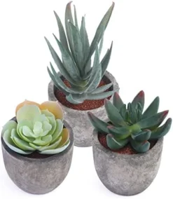 Iuuidu Artificial Potted Plant, Faux Succulent In Pot Emotional Cement Potted Plant Animated Artificial Succulents Decor For Home Living Room Bedroom And Office(Shy) 23 Iuuidu Artificial Potted Plant, Faux Succulent In Pot Emotional Cement Potted Plant Animated Artificial Succulents Decor For Home Living Room Bedroom And Office(Shy) -Nearly Natural Store 412t94VyBsL. AC