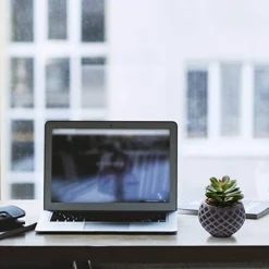 Succulent Decor, Fake Succulents, Succulent Wall Decor, Succulents Artificial Decor, Small Fake Plant, Succulent Decoration, Potted Plants, Set Of 3 Succulents -Nearly Natural Store 412wJ1ODZNL