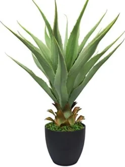 27" H Sansevieria Snake Plant - Artificial Agave – Green Color– With Pot – From MOMO Plant -Nearly Natural Store 413MpA4tW1L. AC
