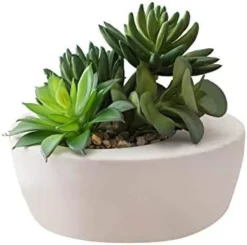 FAVRD Artificial Succulents In Cement Pot Environmentally Conscious Partly Recycled Fake Plants Artificial Plants Indoor Home Office Decor Desk Faux Plants, 8.5 X 8.5 X 8.75 Inches, Green, (10181-A) -Nearly Natural Store 413kZAyvC5L. AC