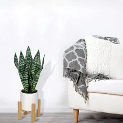 Briful 14'' Fake Snake Plant Home Decor Real Touch Faux Sansevieria Plant In White Ceramic Pot With Wooden Stand Artificial Snake Plant With Wide Leaves For Kitchen Living Room Bathroom Decorations -Nearly Natural Store 414xhl10BxL