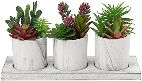 Briful Succulents Plants Artificial In Marble Pot Set Of 3 Small Fake Succulents Plants Faux Succulents With Wood Tray For Table Shelf Office Home Decorations 9 Briful Succulents Plants Artificial In Marble Pot Set Of 3 Small Fake Succulents Plants Faux Succulents With Wood Tray For Table Shelf Office Home Decorations - Image 9