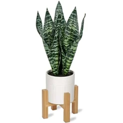 Briful 14'' Fake Snake Plant Home Decor Real Touch Faux Sansevieria Plant In White Ceramic Pot With Wooden Stand Artificial Snake Plant With Wide Leaves For Kitchen Living Room Bathroom Decorations