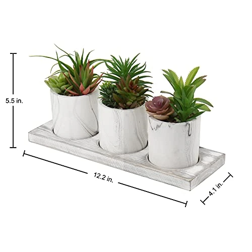 Briful Succulents Plants Artificial In Marble Pot Set Of 3 Small Fake Succulents Plants Faux Succulents With Wood Tray For Table Shelf Office Home Decorations 2 Briful Succulents Plants Artificial In Marble Pot Set Of 3 Small Fake Succulents Plants Faux Succulents With Wood Tray For Table Shelf Office Home Decorations - Image 2