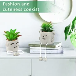 Natheeph 2 Pcs Succulents Plants Artificial Fake Plant Faux Succulents Hanging Leg With Cement Potted For Home Office Desk Bedroom Bookshelf Greenery Decoration (Smile & Bear) -Nearly Natural Store 415ow7BGrrL