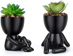 WOODWORD Fake Succulent, Mini Succulents Plants Artificial In Black Modern Human Shaped Ceramic Pots Cute Desk Decor For Office Decor For Women, Bathroom 2PCS -Nearly Natural Store 4169vhHksKL. AC