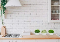 ELYSIANZE Mini Artificial Plants | Modern Farmhouse Plants Home Decor | Small Fake Plants | Office/Kitchen/Bathroom/Bedroom/Mantle/Shelf/Living Room/Table Decoration Faux Plant Set 9 ELYSIANZE Mini Artificial Plants | Modern Farmhouse Plants Home Decor | Small Fake Plants | Office/Kitchen/Bathroom/Bedroom/Mantle/Shelf/Living Room/Table Decoration Faux Plant Set -Nearly Natural Store 417IekSd0PL