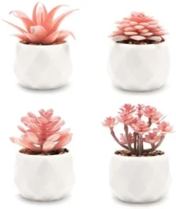 VIVERIE Rose Pink Faux Succulents In White Ceramic Pot Set Of 4 - Plant Gifts, Cute Aesthetic Pink Room, Home Decor Accents, Centerpieces, Bathroom Decor, Mum Gifts, Cactus Decor, Succulents Wedding -Nearly Natural Store 417eEajrSuL. AC