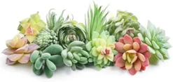 Happyhapi 12 Pcs Artificial Succulents Mini Fake Plants Unpotted Faux Succulent For Craft, Small Plastic Succulents Assortment In Flocked Green Floral Decor For Party, Cake, Garden & Outdoor -Nearly Natural Store 418WXm XjsL. AC