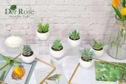 Der Rose 6 Packs Fake Succulents Plants Small Realistic Succulents Plants Artificial For Home Room Decor Indoor -Nearly Natural Store 419AboaAWqL