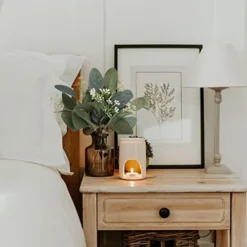 DEEMEI 22pcs Artificial Eucalyptus Stems Bulk Silver Dollar Leaves Eucalyptus Branches Greenery Decor(11.4" Tall) -Nearly Natural Store 41A1Y3BsHbL