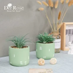 Der Rose 2 Packs Fake Plants Succulents Plants Artificial For Living Room Bedroom Aesthetic Decor -Nearly Natural Store 41A4UZFVD6L