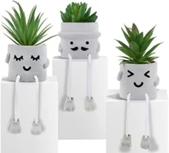 Creative Succulent Plants Potted, Mini Artificial Decorative Potted Plants With Grey Pots - Set Of 3 13 Creative Succulent Plants Potted, Mini Artificial Decorative Potted Plants With Grey Pots - Set Of 3 -Nearly Natural Store 41A6c3oPUTL. AC