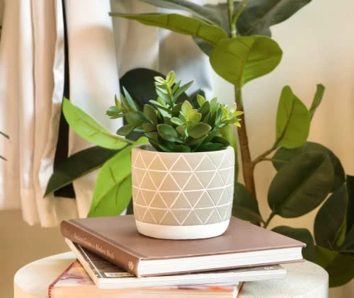 Kurrajong Farmhouse Artificial Succulent Plant 7.5" X 4.5" | Beautiful Faux Plant For Home Decor Indoor | Realistic Artificial Plants | Fake Plants For Desk Decor | Fake Succulent In Pot 3 Kurrajong Farmhouse Artificial Succulent Plant 7.5" X 4.5" | Beautiful Faux Plant For Home Decor Indoor | Realistic Artificial Plants | Fake Plants For Desk Decor | Fake Succulent In Pot - Image 3