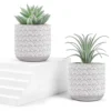 Der Rose 2 Packs Fake Plants Artificial Succulents Plants In Pots For Home Boho Decor Indoor