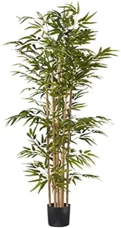 Nearly Natural 5253 Bamboo Silk Tree, 64-Inch, Green -Nearly Natural Store 41BVjdpOfXL. AC