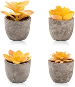 Jelofly Fake Plants Artificial Succulent Plants Assorted Decorative Faux Succulent Potted Fake Cactus Cacti Plants Gray Pots, Set Of 5 -Nearly Natural Store 41C394tVZjL. AC