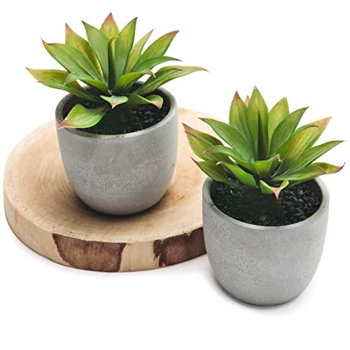 Kurrajong Farmhouse Fake Plants | Fake Succulents Set Of Two | Succulent Plants Artificial | Artificial Succulents | Fake Agave Artificial Plants 4 Kurrajong Farmhouse Fake Plants | Fake Succulents Set Of Two | Succulent Plants Artificial | Artificial Succulents | Fake Agave Artificial Plants - Image 4