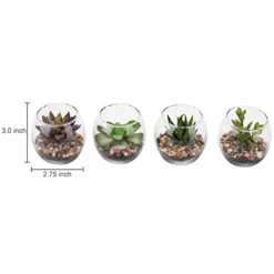 MyGift Assorted Artificial Succulent Fake Plant In Small Clear Glass Display Vases, Set Of 4 -Nearly Natural Store 41DxeONhB3L