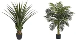 Nearly Natural 4' Spiked Agave Plant, Green & 5357 4ft. Golden Cane Palm Tree,Green -Nearly Natural Store 41EPA8Qq0UL. AC 1