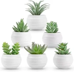 Der Rose 6 Packs Fake Succulents Plants Small Realistic Succulents Plants Artificial For Home Room Decor Indoor -Nearly Natural Store 41ETz0VQwfL. AC