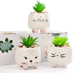 B SEPOR 3 Little Kitty Cats Small Artificial Succulents Potted With White Porcelain Pots Ceramic Animal Planter Gift Set For Home And Office Decor -Nearly Natural Store 41EtXh8itL. AC