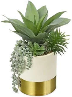 Large Artificial Succulents Plants Faux Succulents 12" Fake Succulent Plants In Gold Ceramic Pot Succulent Plant For Desk Modern Home Living Room Office Table Shelf Decor -Nearly Natural Store 41FEmPXAk7L. AC