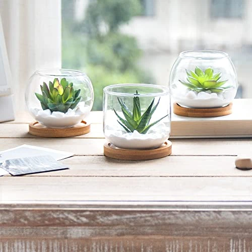 Mkono Artificial Succulent In Clear Glass Pot, Set Of 3 Mini Potted Fake Plants For Women Office Decor Small Faux Green Plant With BambooTray For Bookshelf Bathroom Kitchen Decor Tabletop Centerpiece 1 Mkono Artificial Succulent In Clear Glass Pot, Set Of 3 Mini Potted Fake Plants For Women Office Decor Small Faux Green Plant With BambooTray For Bookshelf Bathroom Kitchen Decor Tabletop Centerpiece
