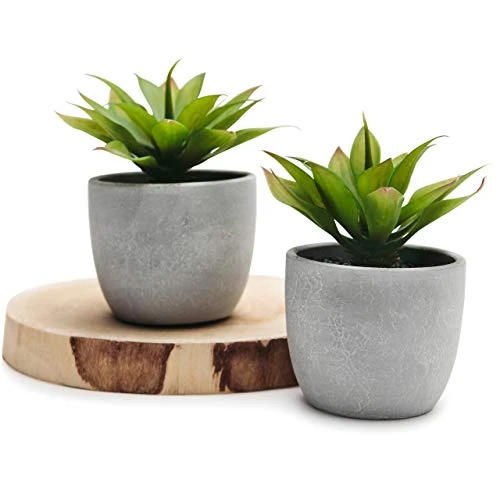 Kurrajong Farmhouse Fake Plants | Fake Succulents Set Of Two | Succulent Plants Artificial | Artificial Succulents | Fake Agave Artificial Plants 1 Kurrajong Farmhouse Fake Plants | Fake Succulents Set Of Two | Succulent Plants Artificial | Artificial Succulents | Fake Agave Artificial Plants