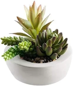 FAVRD Artificial Succulents In Cement Pot Environmentally Conscious Partly Recycled Fake Plants Artificial Plants Indoor Home Office Decor Desk Faux Plants, 8.5 X 8.5 X 8.75 Inches, Green, (10181-A) -Nearly Natural Store 41LKlYxv4L. AC