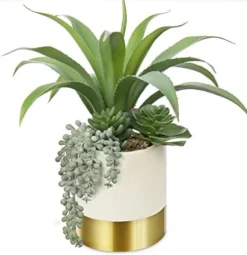 Large Artificial Succulents Plants Faux Succulents 12" Fake Succulent Plants In Gold Ceramic Pot Succulent Plant For Desk Modern Home Living Room Office Table Shelf Decor -Nearly Natural Store 41Ld64rVMFL. AC