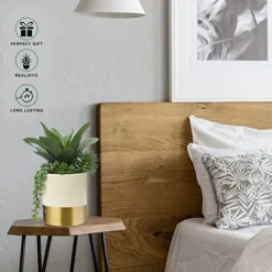 Large Artificial Succulents Plants Faux Succulents 12" Fake Succulent Plants In Gold Ceramic Pot Succulent Plant For Desk Modern Home Living Room Office Table Shelf Decor -Nearly Natural Store 41MGJ7x8gDL